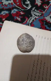 فسیل قدیمی بسیارزیبا