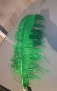پر سبز ۴۳