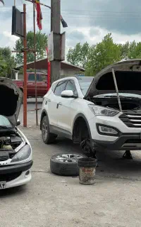 جلوبندی سازی انواع خودرو های ایرانی و خارجی
