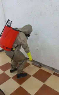 سمپاشی تخصصی کرمانشاه تحت نظر مهندسین مجرب