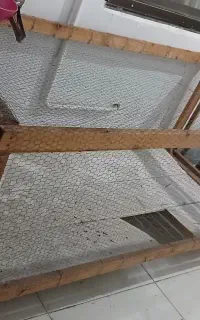 قفس مناسب مرغ و پرنده