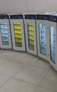(دستگاه جوجه کشی-) هووشمند-قـدرتــیـ