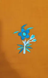 گل اطلس