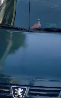 فروش کاپوت جلو پژو و درب صندوق عقب آردی