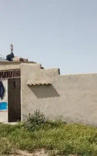 دامداری و زمین کشاورزی