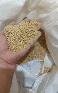 دان مرغ