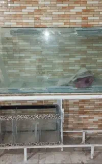 اکواریوم سامپ دار