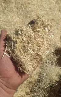 کاه گندم 8.5و کاه جو5.5