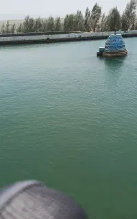 طبیعت