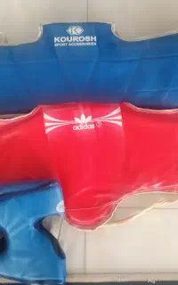 هوگو