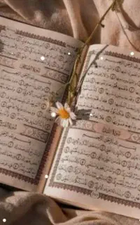 دعاعربی نتیجه3روزه تضمینی دستمزد بعدازنتیجه دهی