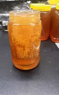 عسل صدرصد طبیعی ودرمانی