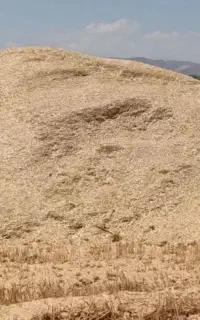 فروش کاه