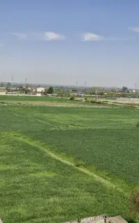 نگهبان دستگاه زن شالی