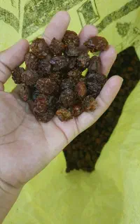 آلوچه