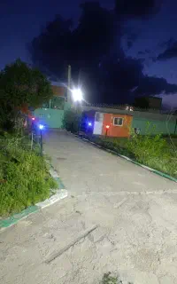 نیازمند مراقب خانم