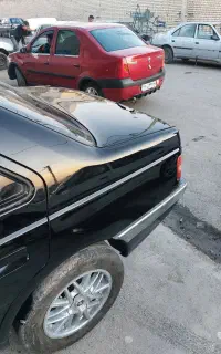 دیتیلینگ تخصصی دیودار