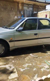 ۴۰۵مدل ۹۱ دوگانه سوز شرکتی دو لکه رنگ