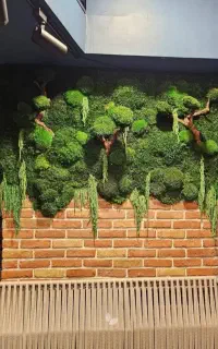 دیوار و تابلو خزه ای طبیعی (ماس وال)