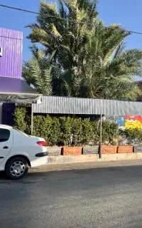 استخدام باریستا