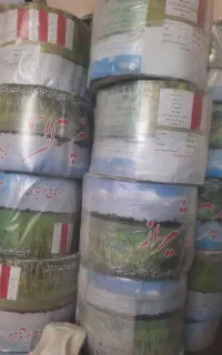 فروش ۱۰۰ عدد نوا تیپ (زاگرس پلیم)درجه یک با ضمانت