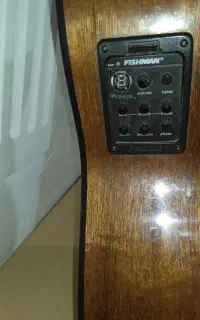 گیتار پیکاپدار
