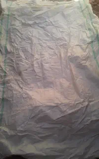 کیسه خلال