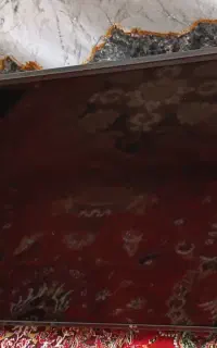 تلوزیون