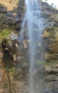 گروه طبیعت گردی گندم