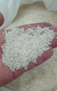 برنج هاشمی