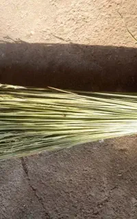 جارو دستی