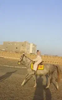 کره اسب و مادرش