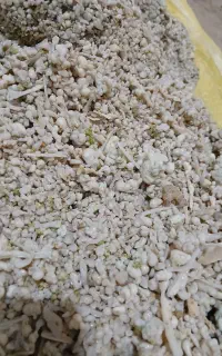کندل وشا اشترک وشق اوشق