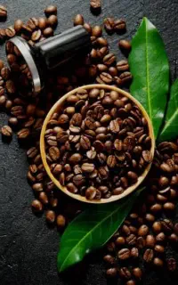 قهوه به قیمت عمده