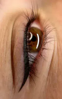 فیبروز، شیدینگ لب، خط چشم و تاتو بدن