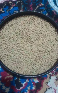 عدس۲۵۰هزارتومان