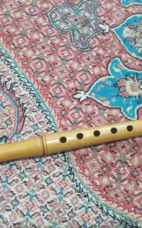 نی محرم