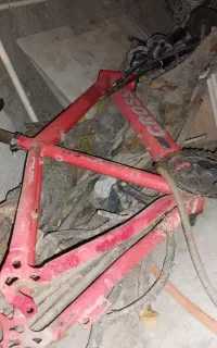 تنه دوچرخه۲۶