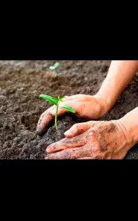 خاک باغچه (خاک کامل )  و  اب رسانی (معدنی )