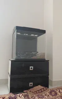 آکواریوم شرکتی aqua