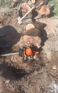 قطع واصلاح درخت وچمن زنی درمیانکوه