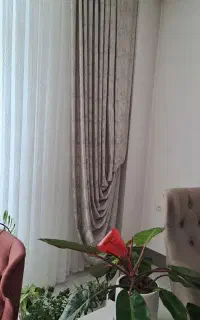 پرده