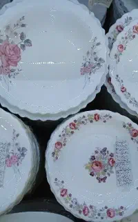 ارکوپال پارس اوپال