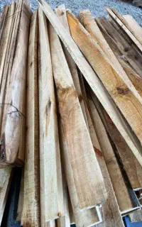 فروش چوب درخت قلمه ، گردو و جنگلی