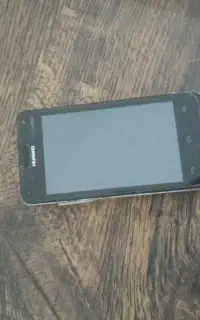 y300