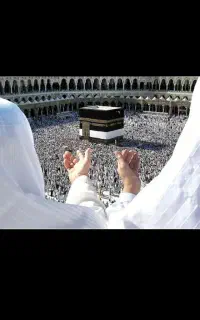 دوفقره فیش حج تمتع،اسفند ۸۶،به مبلغ۵۰۰ میلیون