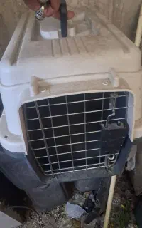 باکس سایز۲ خارجی