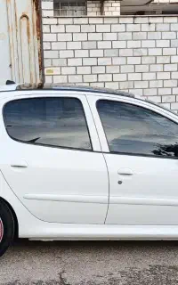 207 پاناروما 401