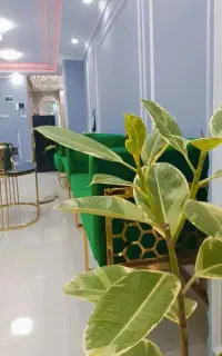 استخدام نیروی کار حرفه ای در آکادمی زیبایی