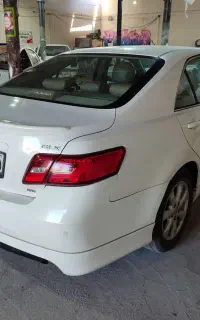 نقاشی مدرن + باغبانیان